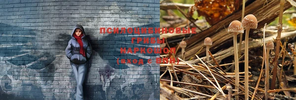 прущая мука Новодвинск