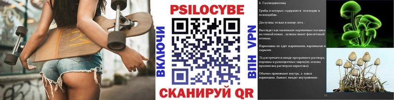 Галлюциногенные грибы Cubensis  Купить где  Поронайск 
